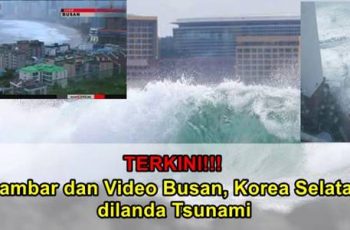 gambar dan video tsunami di busan korea