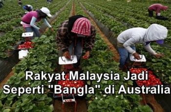 rakyat malaysia