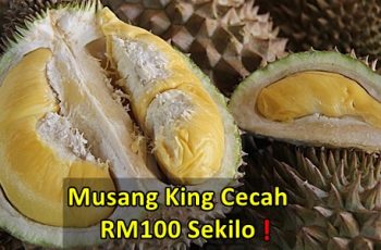 durian musang king murah mahal