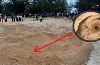misteri bau busuk