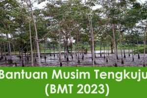 11390358 1422374468086276 987388247060842716 n