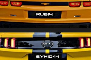 119979788 657859561509160 9220561536157330288 n