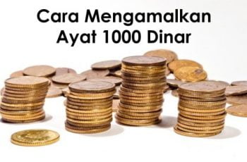 b5b18dcd 3e7f 4531 9db6 9787c7a94db8 169